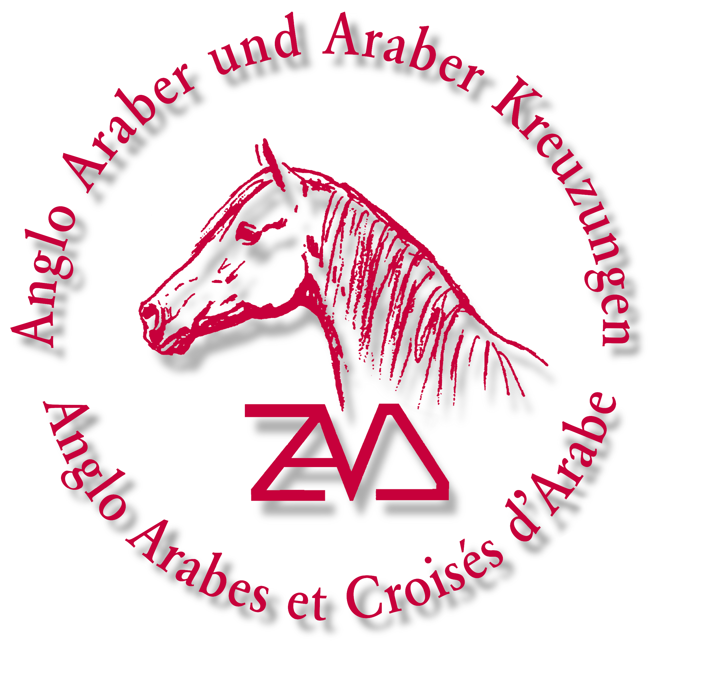 ZAM