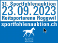 Sportfohlenauktion Roggwil